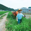 농기계임대사업소 개진분소 이미지