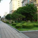 강남-245 이미지