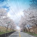 (주)토옥 이미지