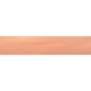 카페레오나 이미지