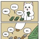 스프링독