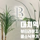 권오정리얼뷰티의원 | 대치역 쿨소닉 리프팅, 뷰티라운지에서 탄력 관리 받고 온 솔직 후기