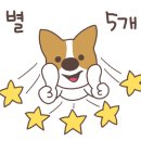 헬로우댕댕