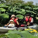 부여 서울농장 이미지