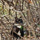 이마트24 서대문연희점 | 연희숲속쉼터 튤립 개화시기 확인! 카페폭포와 함께 가기 좋은 서대문구 힐링 명소