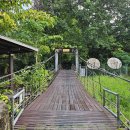 동말레이시아 물루 국립공원 케노피 워크(The Canopy Walk) 이미지