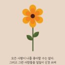 어떤하루 이미지