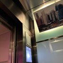 세라비 | 마리나베이샌즈 루프탑 바 세라비 CÉ LA VI 싱가포르 야경 추천