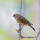 달건너농장 이미지