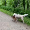 산책길에 이미지