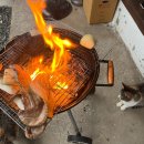 파도마을 삼냥이네 이미지