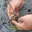 남해-224 이미지