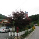 골안민박 이미지