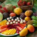 아이러브호주 이미지