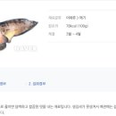 원조벤댕이