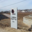 조동천제방 Daum카페