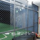 리얼야구존 - 미추홀구 | 리얼야구존