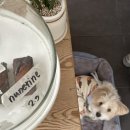 필리커피
