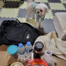 대덕구노인종합복지회관 이미지