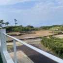 제주도 게스트하우스 친절한경배씨 | [제주도게스트하우스 친절한경배씨] 제주도 소규모 파티 게스트하우스, 월정리 해변 게스트하우스 추천