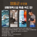 영동군민운동장_축구장 이미지