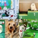 종합동물약품 이미지