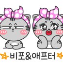 로즈레미 네이버블로그