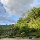 충북 영동 민주지산자연휴양림 힐링관