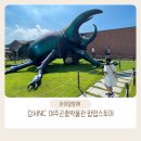 하늘정원유치원 | 아이랑 가기 좋은 곳 : 강서NC 곤충 박물관 팝업 주말 방문 후기