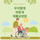 초록요양원 | 깊어가는 가을의 어느 날, 우리함께 파랑새 재활요양원