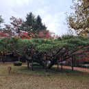 기획전시_시월 愛 가을 속 역사 여행 | 가을, 역사와 자연 감성 한번에, 2박 3일 경주 여행