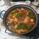 일등향어 티스토리