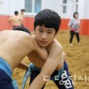 당진씨름장 이미지