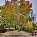 안의소공원 이미지