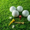 동부골프연습장 이미지