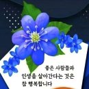수지상사 이미지