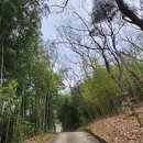 함안 방어산 마애약사여래삼존입상 | [경북][경주] 백률사 (아차돈 순교비, 금동약사여래입상, 마애삼층석탑, 소금강산, 기도터)