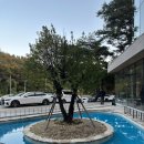 슈슈 | 우현동 신상카페 내돈내산 솔직후기 슈슈모아 소금빵맛집