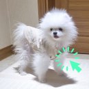 강*발