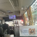 지에스25석전센트리움점 | 공항리무진 / 티웨이 A330-200 유럽 타고 온 후기(기내식, USB포트, 좌석 추천 등)