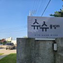 슈슈풀빌라 | (내돈내산 후기) 태안 감성숙소 슈슈풀빌라 애견동반 숙소