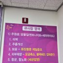 소피아헤어 | 제주이도동 정수리 고민 해결! 제주두피관리 맛집 발견 제주시청미용실 소피아 헤어스토리 찐후기