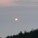 강릉임해자연휴양림 이미지