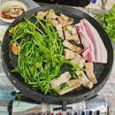 대규미나리 이미지