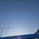 한신세탁 | 2026 고양하프마라톤 사진, 후기, 기록, 고하마 추워서 고 안하마