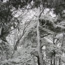 진고개로 이미지