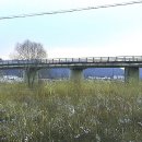 봉곡2교 이미지