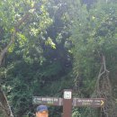 광원리 월둔교 이미지