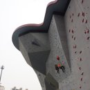 강변장어 이미지