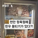 청년미트 이미지